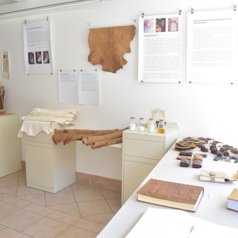 Razstava OD SUROVE KOŽE DO ZGODBE pod drobnogledom